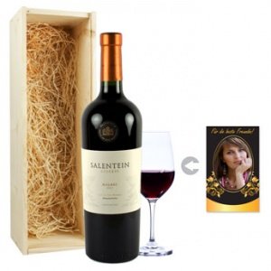 Wein - Salentein Malbec