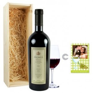 Wein - Salentein Primus Merlot