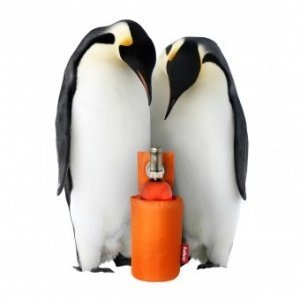 Weink?hler Waynecooler orange