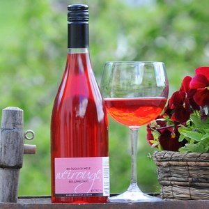 Weirouge Apfelsaft BIO Kandlwaalhof