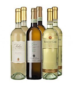 Weißwein Italien Klassiker mit Gavi di G