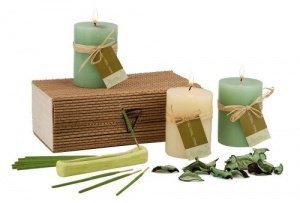 Wellness-Set Life in Harmony