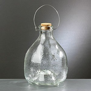 Wespen-Falle aus Glas