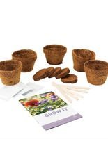 Wildblumen Pflanzenzucht-Set