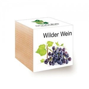 Wilder Wein im Holzwürfel
