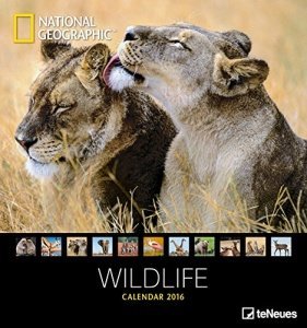 Wildlife National Geographics Wandkalender
