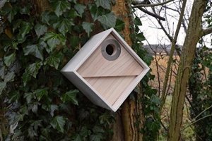 Wildlife World Moderner Nistkasten