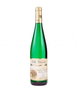 Willi Schaefer Graacher Domprobst Ausles