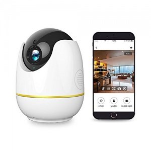 netvue Orb Wireless IP Kamera