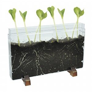 Wurzel- und Wurmhaus