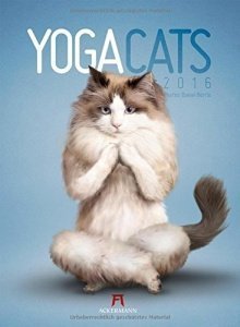 Yoga Cats Kalender