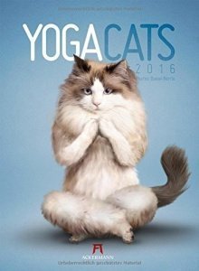 Yoga Cats Kalender