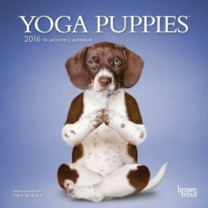 Yoga Dogs Kalender