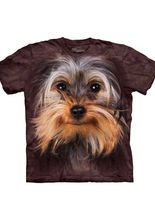Yorkshire Terrier Dog Face The Mountain 