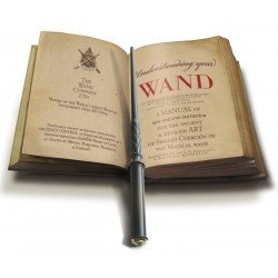 Zauberstab Fernbedienung