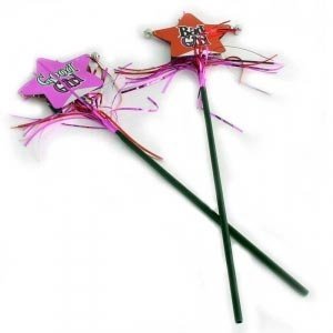 Zauberstab für den Junggesellinnenabschi