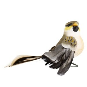 Zeitungsständer "NEWS", schwarz