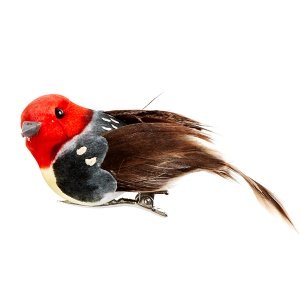 Zeitungsständer, blau