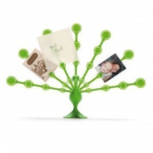 Zettelhalter Freddy Feathers green