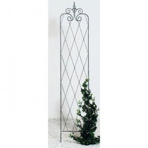 Zierspalier Mona H 180 x B 38