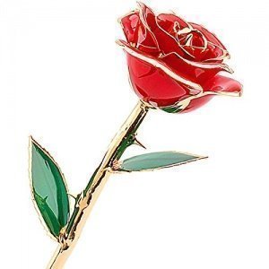 Echte vergoldete Rose