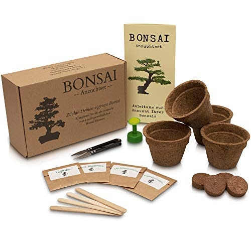 ANISTA Bonsai Anzuchtset