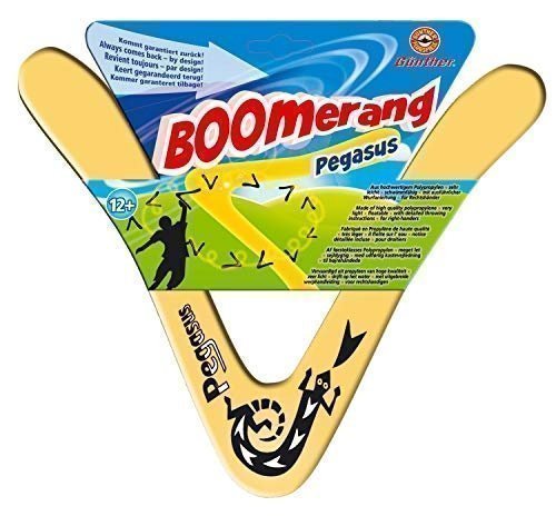 Boomerang Pegasus