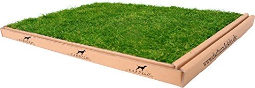 Carnilo - Hundeklo aus echtem Rasen, Welpentoilette, Trainingsunterlage, Hundetoilette, stubenrein