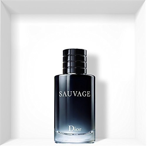 Christian Dior Eau de Toilette Herren Sauvage 100 ml
