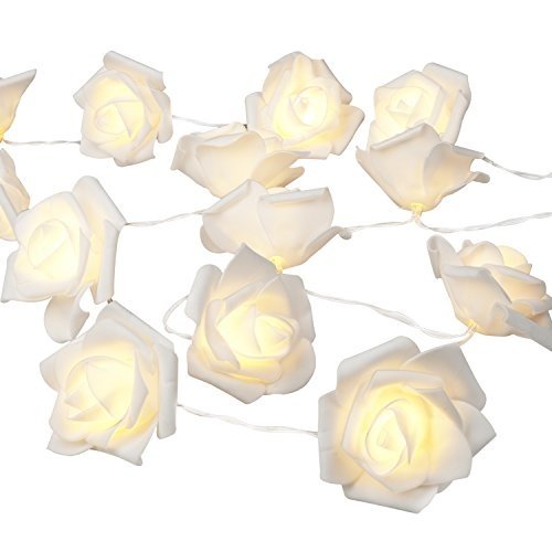 Denknova® 30er LED Rosen Lichterkette, batteriebetrieben, Warmweiß, 3 Meter