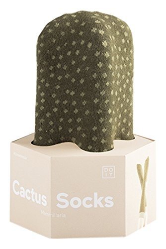 Doiy Limited Kaktus Socken Mammillaria, mehrfarbig, 2-teilig