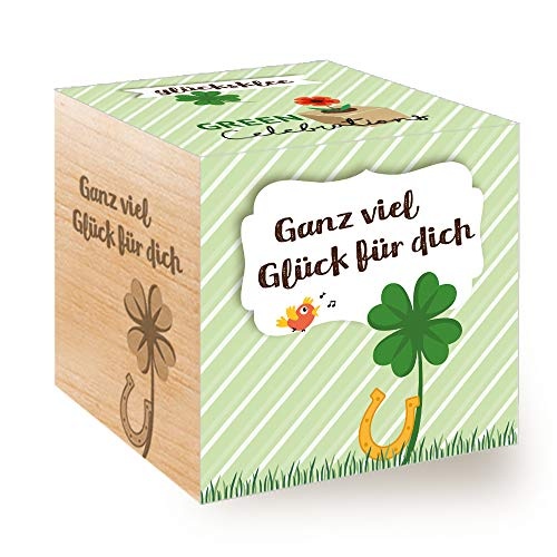 Ecocube Glücksklee