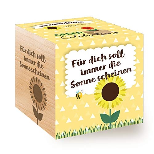 Ecocube Sonnenblume