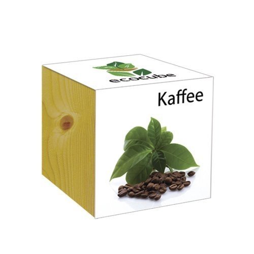 ecocube Holzwürfel - Kaffee