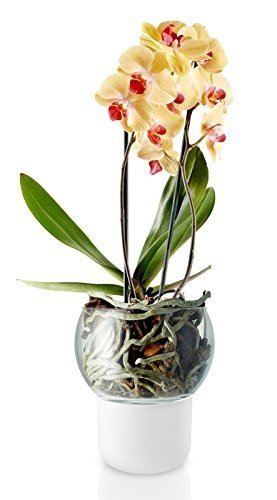 Eva Solo Orchideentopf selbstbewässernd aus frosted Glas D 15 cm