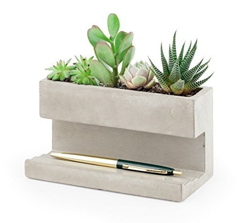 Large Concrete Desktop Planter