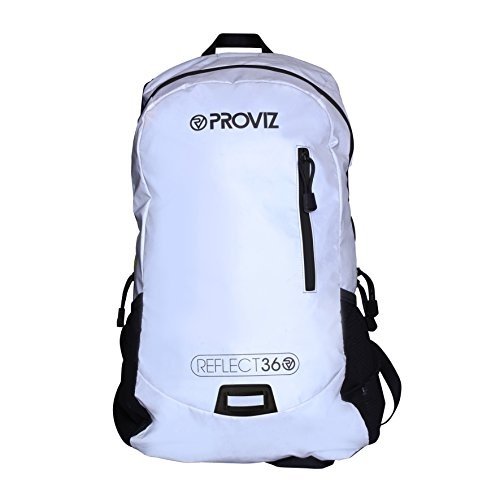 Proviz Rucksack Reflect 360, silber-grau, 0.1 x 34 x 54 cm, 30 Liter, PV595