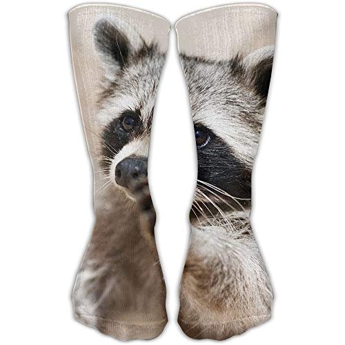 remmber me Socken Racoon