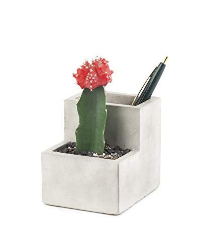 Small Concrete Desktop Planter