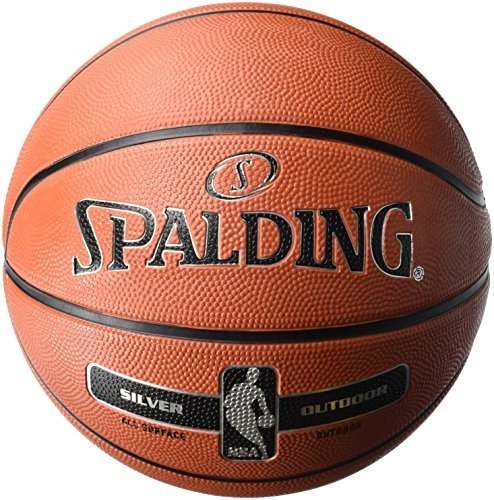 Spalding NBA Silver Basketball Ball