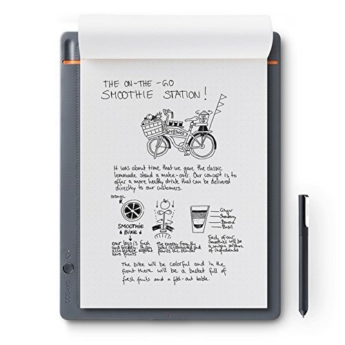 Wacom Bamboo Slate Smartpad A4 / Großes Notepad mit Digitalisierungs-Funktion inkl. Eingabestift mi