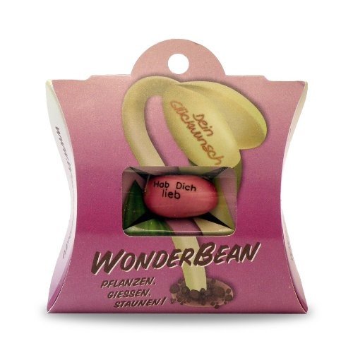 WonderBean - Hab Dich lieb