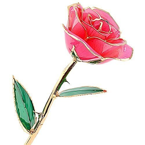 ZJchao vergoldete Echte Rose