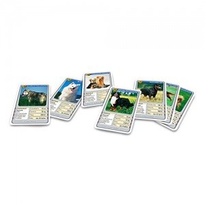 2 x Quartett Hunde Spielkarten Quartettkarten Hundquartett Kultspiel 6,5 x 9,7 cm
