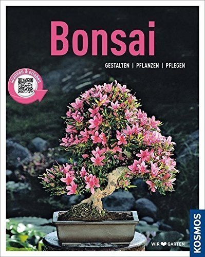 Bonsai Geschenkset Anfänger-Set Liguster, ca. 7 Jahre, ca. 30 cm hoch