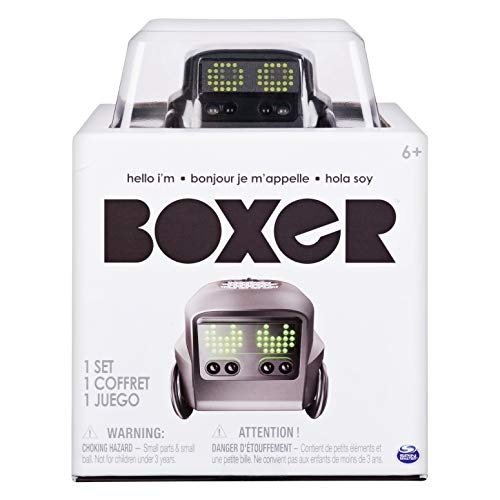 Boxer kleiner Robo