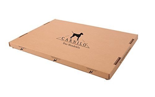 Carnilo - Hundeklo aus echtem Rasen, Welpentoilette, Trainingsunterlage, Hundetoilette, stubenrein