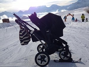 Chariot Ski Set für CX-Modell