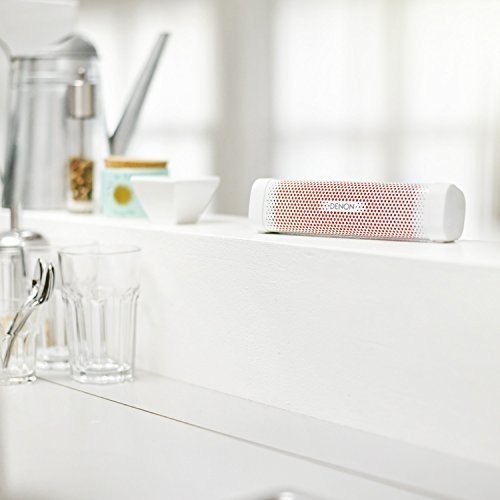 Denon DSB100WTEM Envaya Mini tragbarer Bluetooth Lautsprecher (NFC, AUX-Eingang, Mikrofon für Freis