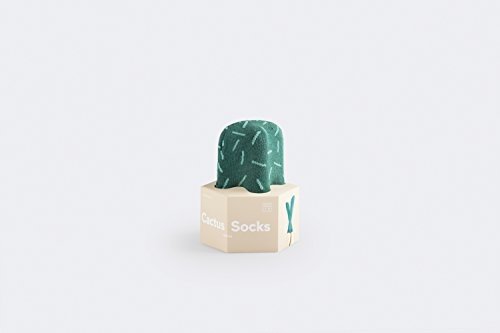 Doiy Limited Kaktus Socken Astros